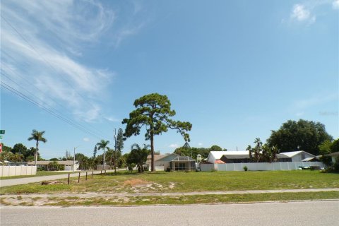 Terreno en venta en Bradenton, Florida № 1306987 - foto 3