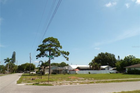 Terreno en venta en Bradenton, Florida № 1306987 - foto 1