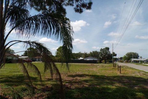 Terrain à vendre à Bradenton, Floride № 1306987 - photo 6