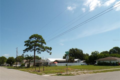 Terrain à vendre à Bradenton, Floride № 1306987 - photo 2