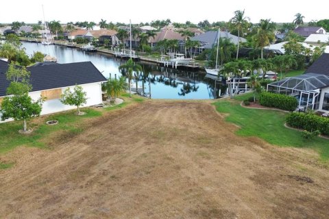 Terrain à vendre à Punta Gorda, Floride № 1215070 - photo 4