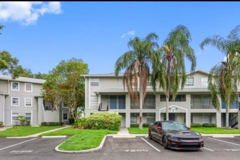 Condo in Tampa, Florida, 1 bedroom  № 1365059 - photo 1