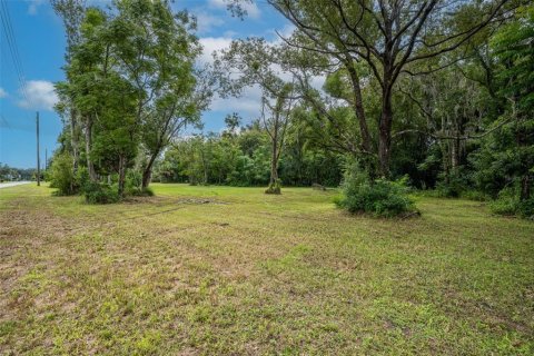 Terreno en venta en Oviedo, Florida № 1365090 - foto 9