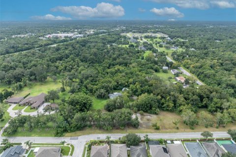 Terreno en venta en Oviedo, Florida № 1365090 - foto 2