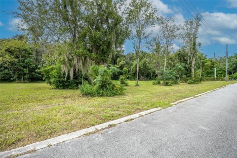 Terreno en venta en Oviedo, Florida № 1365090 - foto 6