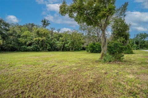 Terreno en venta en Oviedo, Florida № 1365090 - foto 7