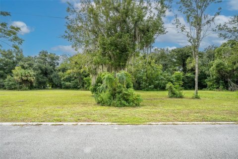 Terreno en venta en Oviedo, Florida № 1365090 - foto 10