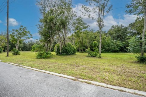 Terreno en venta en Oviedo, Florida № 1365090 - foto 5