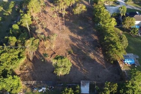 Terreno en venta en Homestead, Florida № 1368963 - foto 5