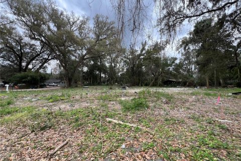 Terreno en venta en Ocala, Florida № 1399624 - foto 1