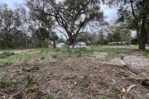 Terrain à vendre à Ocala, Floride № 1399624 - photo 7