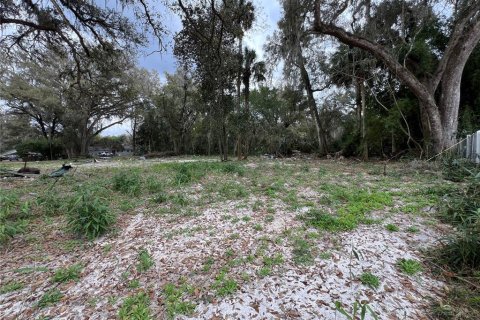 Terrain à vendre à Ocala, Floride № 1399624 - photo 6