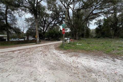 Terrain à vendre à Ocala, Floride № 1399624 - photo 4