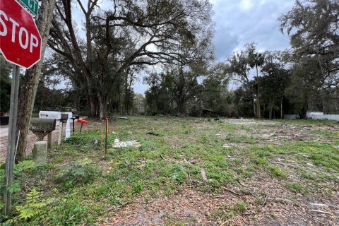 Terrain à vendre à Ocala, Floride № 1399624 - photo 5