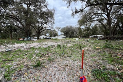 Terreno en venta en Ocala, Florida № 1399624 - foto 3