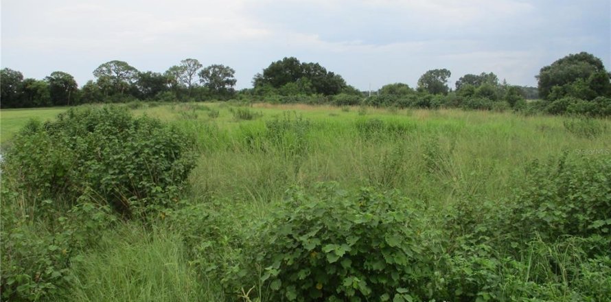 Land in Okeechobee, Florida № 1312096