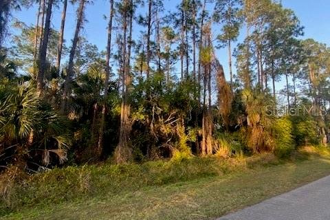 Terreno en venta en Naples, Florida № 1244339 - foto 11