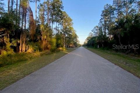 Terreno en venta en Naples, Florida № 1244339 - foto 1