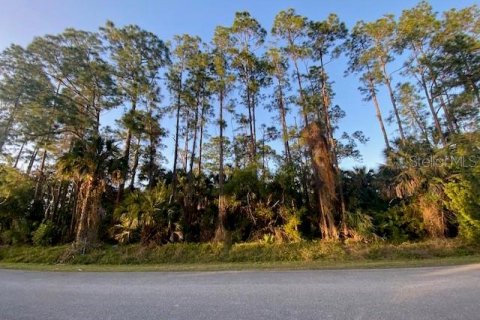 Terrain à vendre à Naples, Floride № 1244339 - photo 4