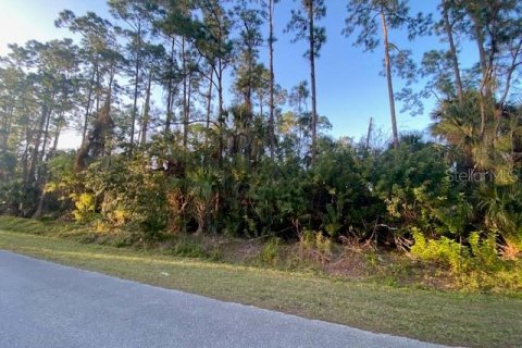 Terreno en venta en Naples, Florida № 1244339 - foto 13