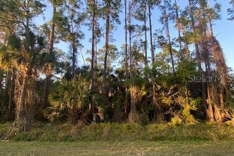 Terreno en venta en Naples, Florida № 1244339 - foto 10