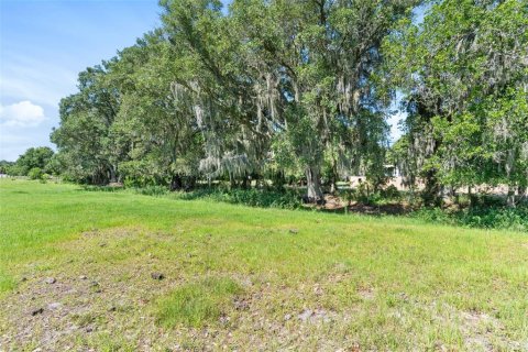 Terreno en venta en Dover, Florida № 1409640 - foto 11