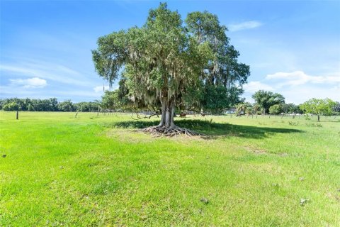 Terreno en venta en Dover, Florida № 1409640 - foto 13