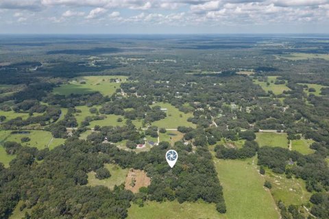 Land in Bushnell, Florida № 1358372 - photo 7