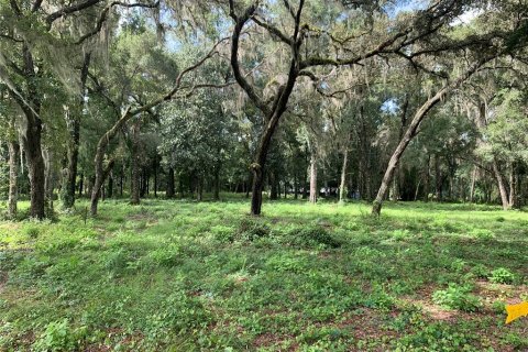 Terreno en venta en Bushnell, Florida № 1358372 - foto 1