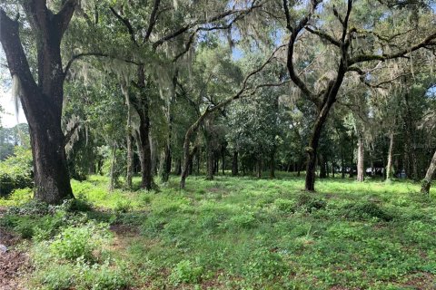 Terrain à vendre à Bushnell, Floride № 1358372 - photo 2