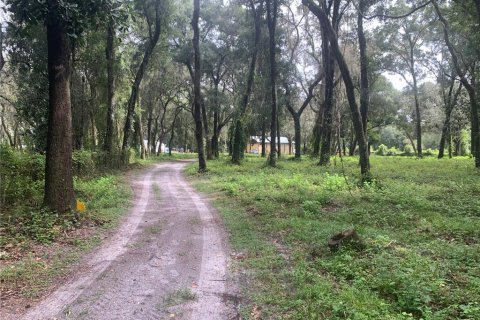 Terreno en venta en Bushnell, Florida № 1358372 - foto 6