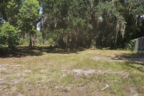 Land in Eustis, Florida № 1364309 - photo 3