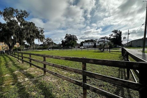 Land in Winter Haven, Florida № 1364312 - photo 11