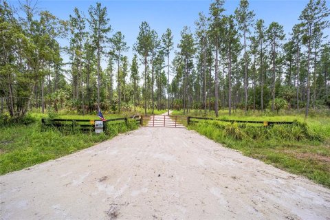 Terrain à vendre à Ocala, Floride № 1252885 - photo 5