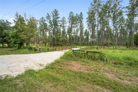 Terrain à vendre à Ocala, Floride № 1252885 - photo 6