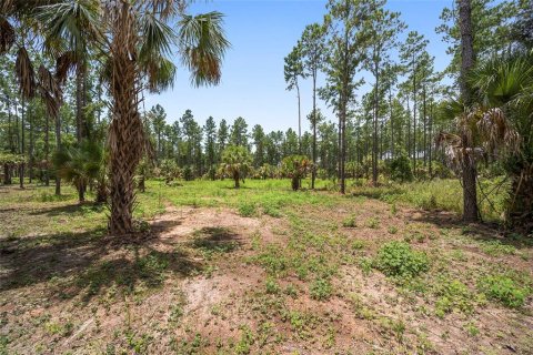 Terrain à vendre à Ocala, Floride № 1252885 - photo 7