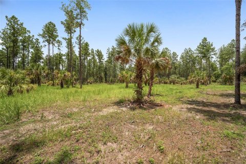 Terreno en venta en Ocala, Florida № 1252885 - foto 9