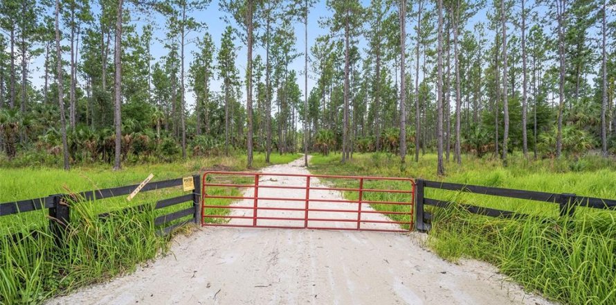 Terrain à Ocala, Floride № 1252885