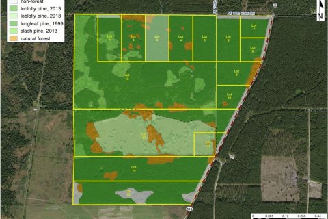 Terreno en venta en Ocala, Florida № 1252885 - foto 4