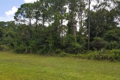 Terreno en venta en Venice, Florida № 213441 - foto 2