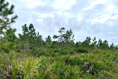 Terreno en venta en Punta Gorda, Florida № 1396521 - foto 6