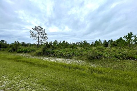 Land in Punta Gorda, Florida № 1396521 - photo 11