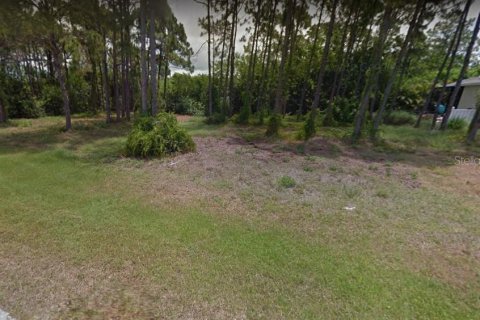 Land in Rotonda, Florida № 214859 - photo 6