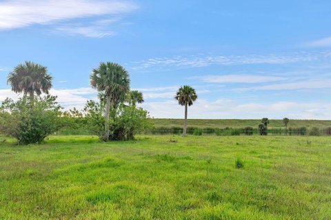 Terreno en venta en Okeechobee, Florida № 778463 - foto 23