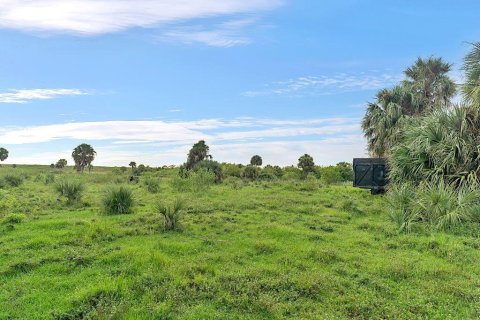 Terrain à vendre à Okeechobee, Floride № 778463 - photo 24