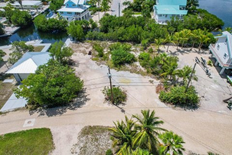 Terrain à vendre à Big Pine Key, Floride № 832884 - photo 2