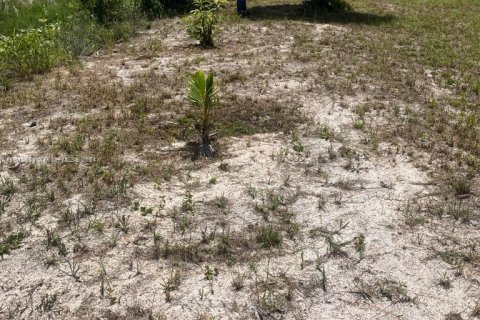 Terrain à vendre à Clewiston, Floride № 1325334 - photo 6