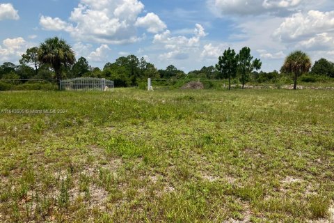 Land in Clewiston, Florida № 1325334 - photo 1