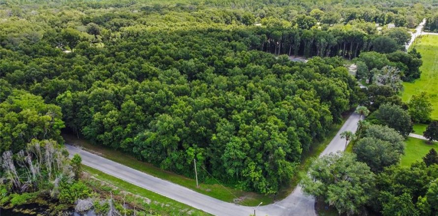 Terreno en Lake Helen, Florida № 1288371