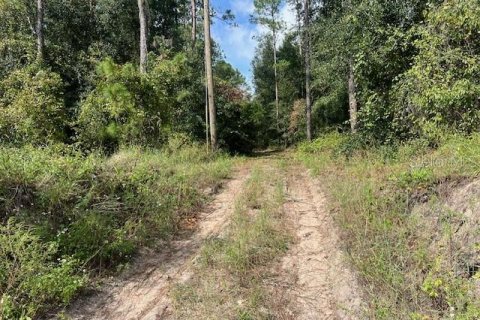 Terreno en venta en Dade City, Florida № 1393970 - foto 1